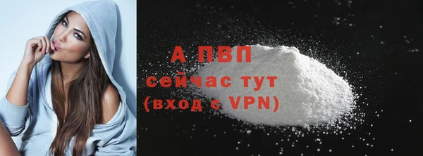 шишки Дмитровск