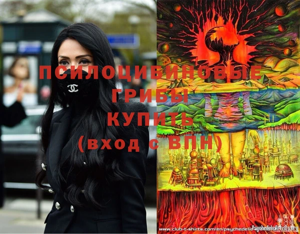 гидра Дмитров