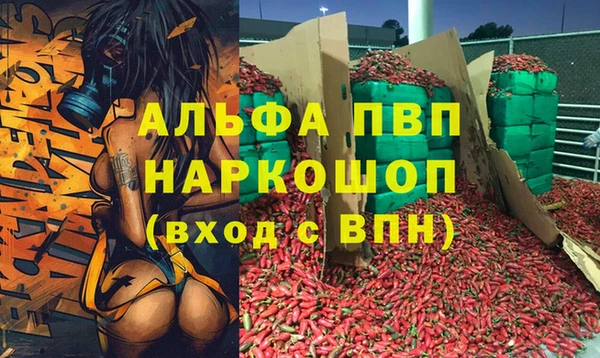 шишки Дмитровск