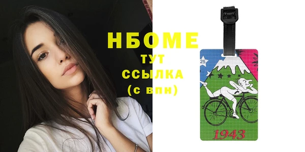 шишки Дмитровск