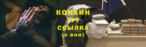 шишки Дмитровск