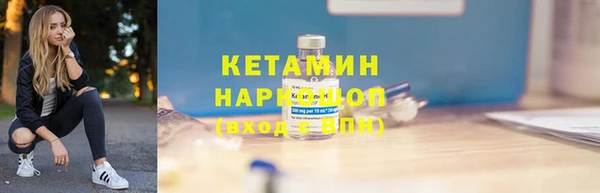 шишки Дмитровск