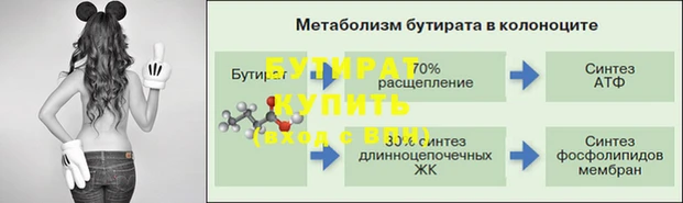 шишки Дмитровск