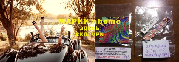 шишки Дмитровск