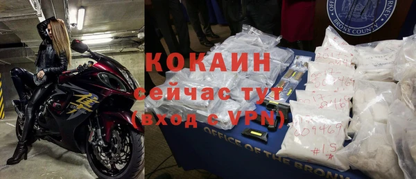 шишки Дмитровск