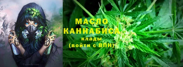 гидра Дмитров