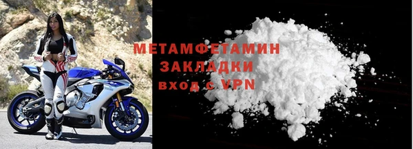 шишки Дмитровск
